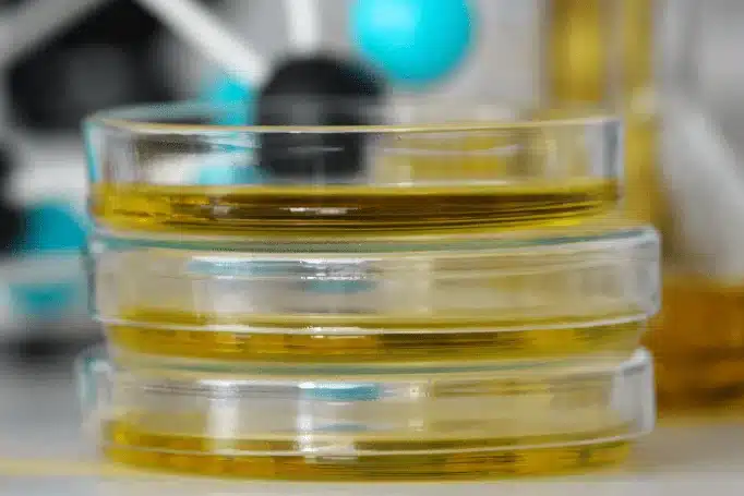 sliding-images-biomas-petri-dish.png